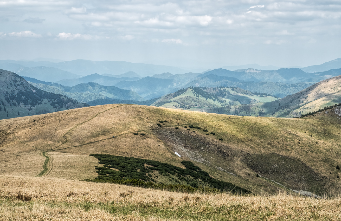 Kliknij obrazek, aby uzyskać większą wersję

Nazwa:	WFatra3Olek-5.JPG
Wyświetleń:	192
Rozmiar:	1.007,7 KB
ID:	175637