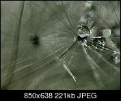 Kliknij obrazek, aby uzyskać większą wersję

Nazwa:	P5070143.jpg
Wyświetleń:	37
Rozmiar:	221,1 KB
ID:	175647