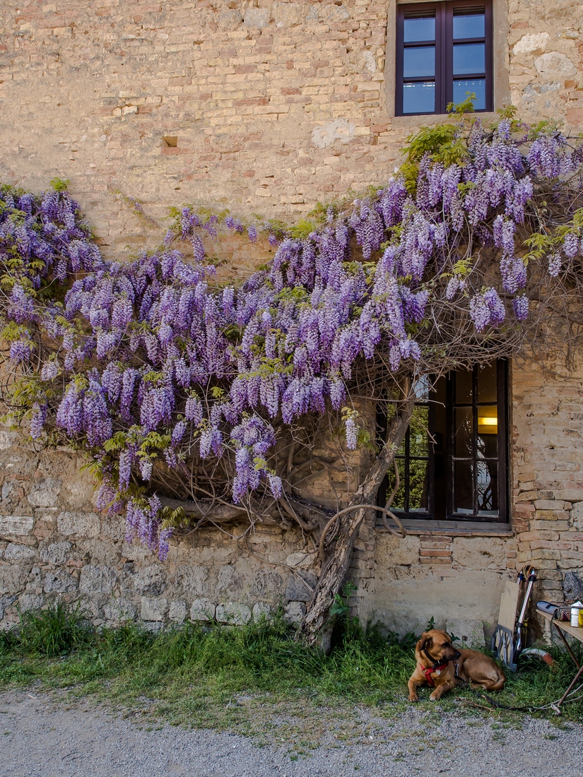 Kliknij obrazek, aby uzyskać większą wersję

Nazwa:	_JK10288.jpg
Wyświetleń:	117
Rozmiar:	832,0 KB
ID:	175665