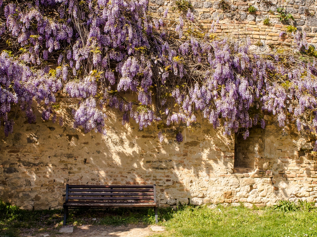 Kliknij obrazek, aby uzyskać większą wersję

Nazwa:	_JK10293.jpg
Wyświetleń:	121
Rozmiar:	929,5 KB
ID:	175667