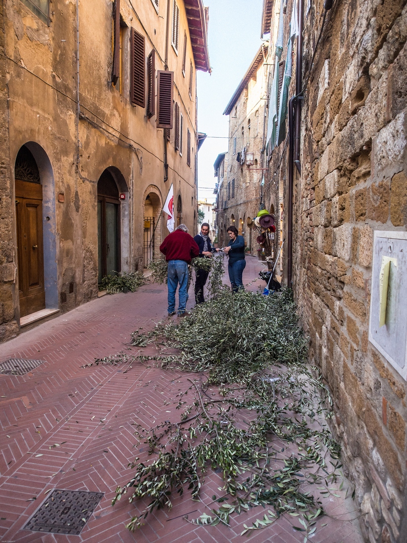 Kliknij obrazek, aby uzyskać większą wersję

Nazwa:	_JK10365.jpg
Wyświetleń:	114
Rozmiar:	737,7 KB
ID:	175678