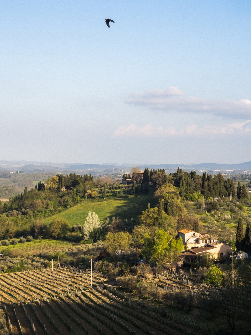 Kliknij obrazek, aby uzyskać większą wersję

Nazwa:	_JK10370.jpg
Wyświetleń:	104
Rozmiar:	575,9 KB
ID:	175679