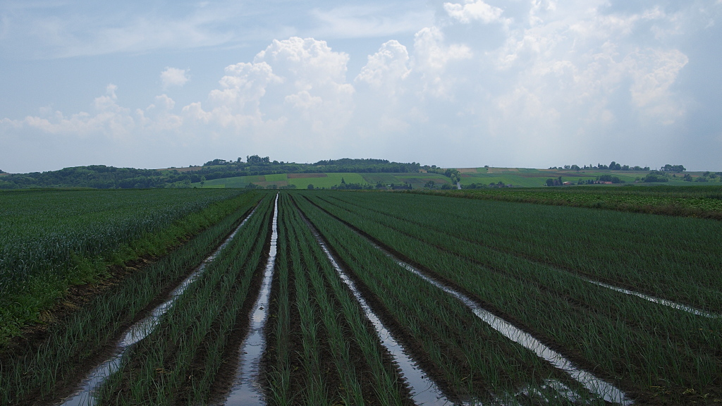 Kliknij obrazek, aby uzyskać większą wersję

Nazwa:	31052016_KK317923.1.1.jpg
Wyświetleń:	204
Rozmiar:	325,5 KB
ID:	175696