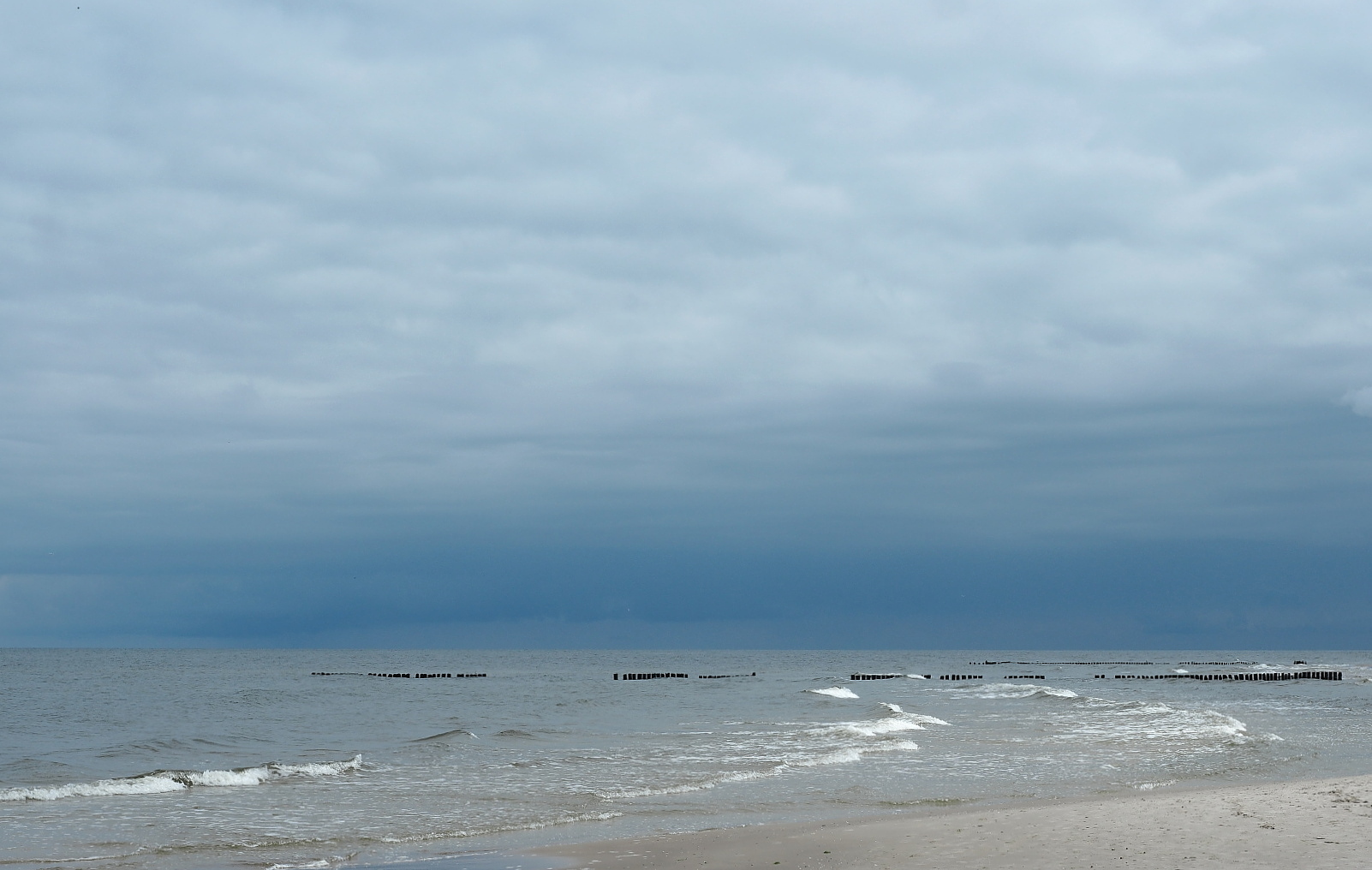 Nazwa:  P5180105...D.jpg
Wyświetleń: 130
Rozmiar:  454,2 KB