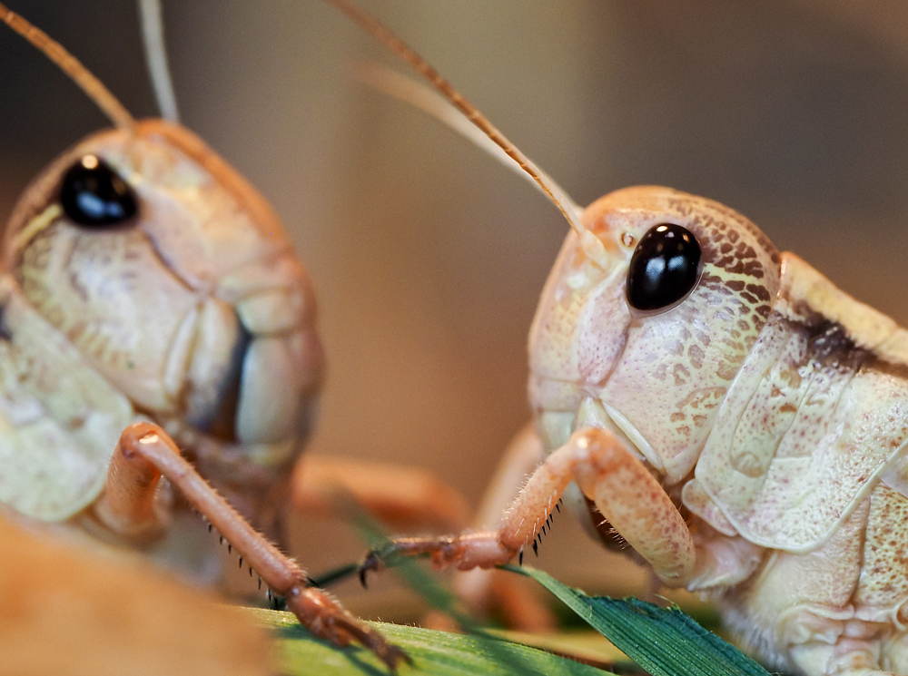 Kliknij obrazek, aby uzyskać większą wersję

Nazwa:	sz2.jpg
Wyświetleń:	99
Rozmiar:	546,7 KB
ID:	175717