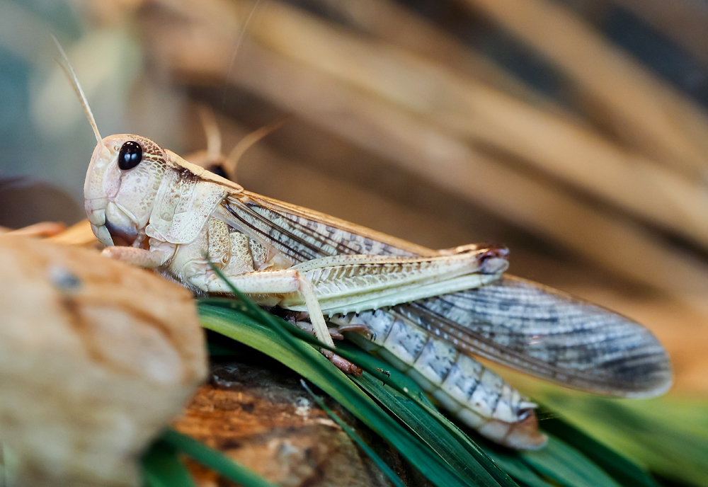 Kliknij obrazek, aby uzyskać większą wersję

Nazwa:	sz4.jpg
Wyświetleń:	105
Rozmiar:	494,1 KB
ID:	175719