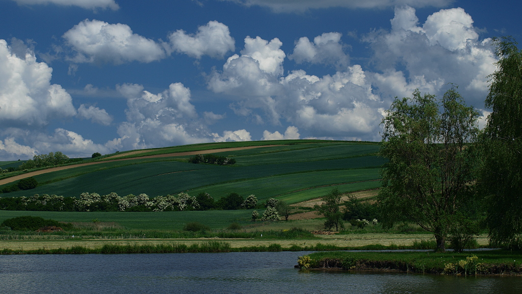 Kliknij obrazek, aby uzyskać większą wersję

Nazwa:	01062016_KK017931.1.jpg
Wyświetleń:	164
Rozmiar:	363,0 KB
ID:	175721