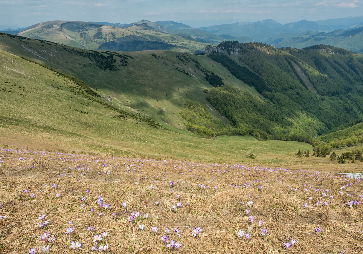 Kliknij obrazek, aby uzyskać większą wersję

Nazwa:	WFatra4Olek-1.JPG
Wyświetleń:	160
Rozmiar:	836,5 KB
ID:	175753