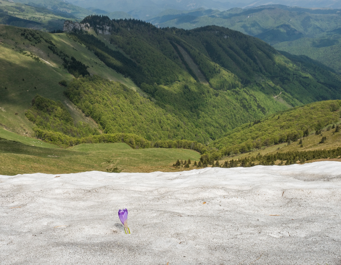 Kliknij obrazek, aby uzyskać większą wersję

Nazwa:	WFatra4Olek-2.JPG
Wyświetleń:	168
Rozmiar:	792,0 KB
ID:	175754