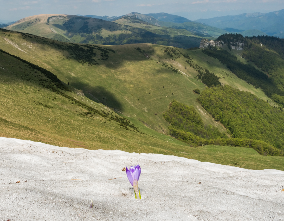 Kliknij obrazek, aby uzyskać większą wersję

Nazwa:	WFatra4Olek-3.JPG
Wyświetleń:	162
Rozmiar:	787,5 KB
ID:	175755