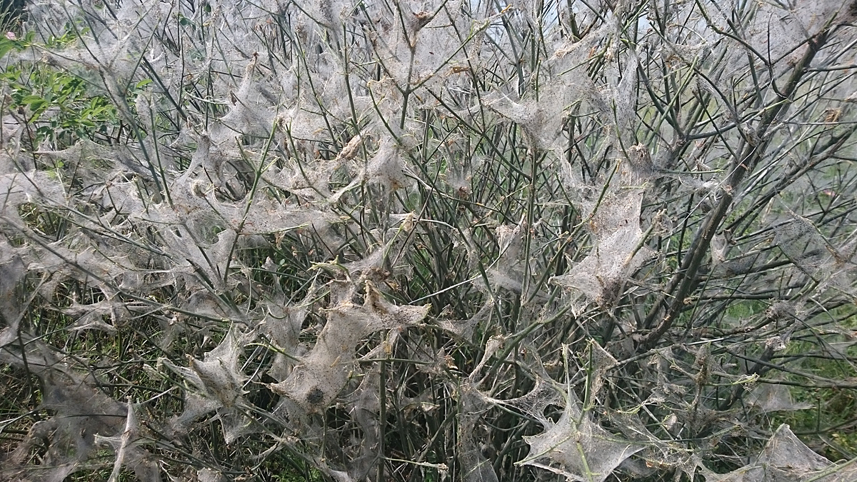 Kliknij obrazek, aby uzyskać większą wersję

Nazwa:	DSC_0067.jpg
Wyświetleń:	295
Rozmiar:	970,7 KB
ID:	175794