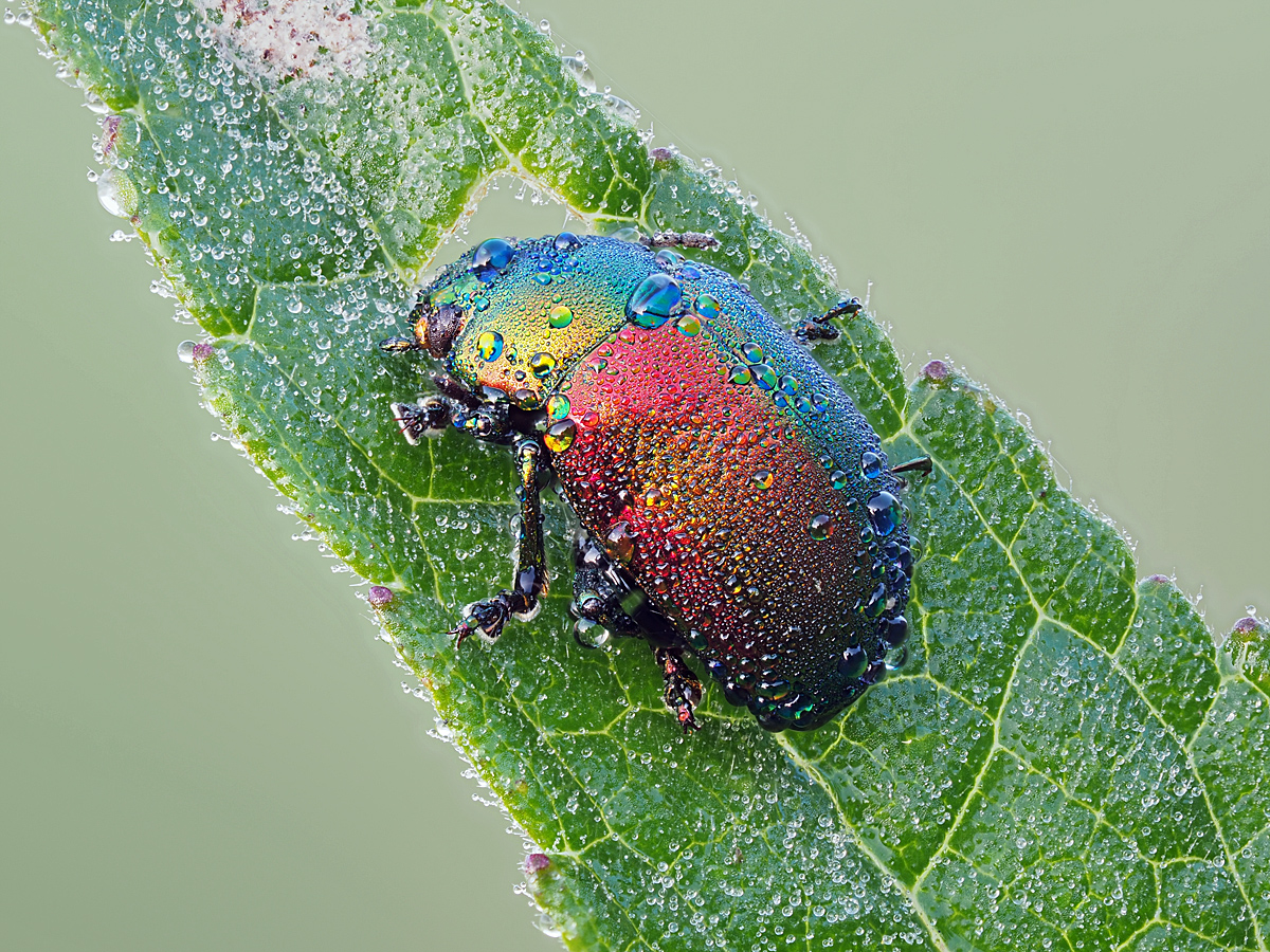 Kliknij obrazek, aby uzyskać większą wersję

Nazwa:	2016-05-05 18-00-23 (A,Radius8,Smoothing4).jpg
Wyświetleń:	312
Rozmiar:	886,0 KB
ID:	175796