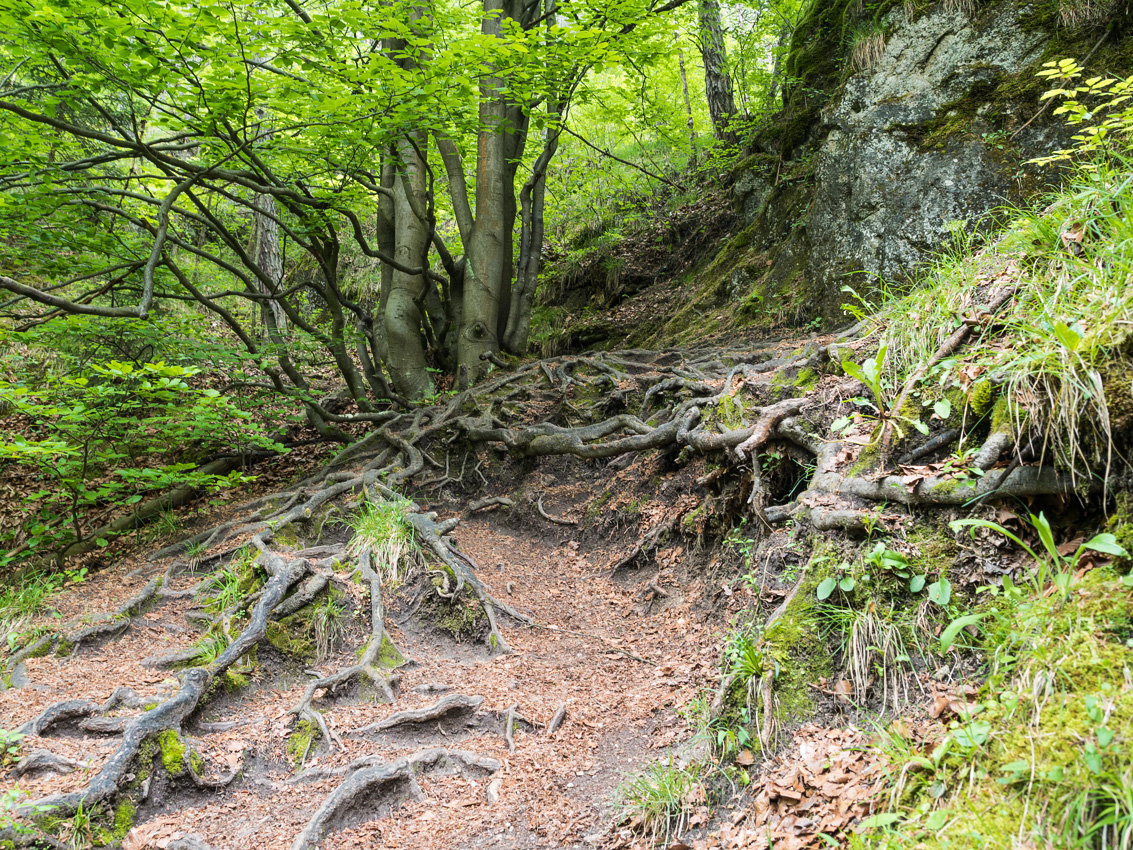 Kliknij obrazek, aby uzyskać większą wersję

Nazwa:	Sulov1Olek-1.JPG
Wyświetleń:	185
Rozmiar:	878,8 KB
ID:	175829