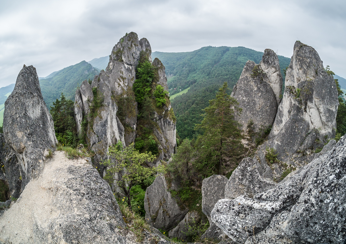 Kliknij obrazek, aby uzyskać większą wersję

Nazwa:	Sulov1Olek-5.JPG
Wyświetleń:	199
Rozmiar:	789,8 KB
ID:	175833