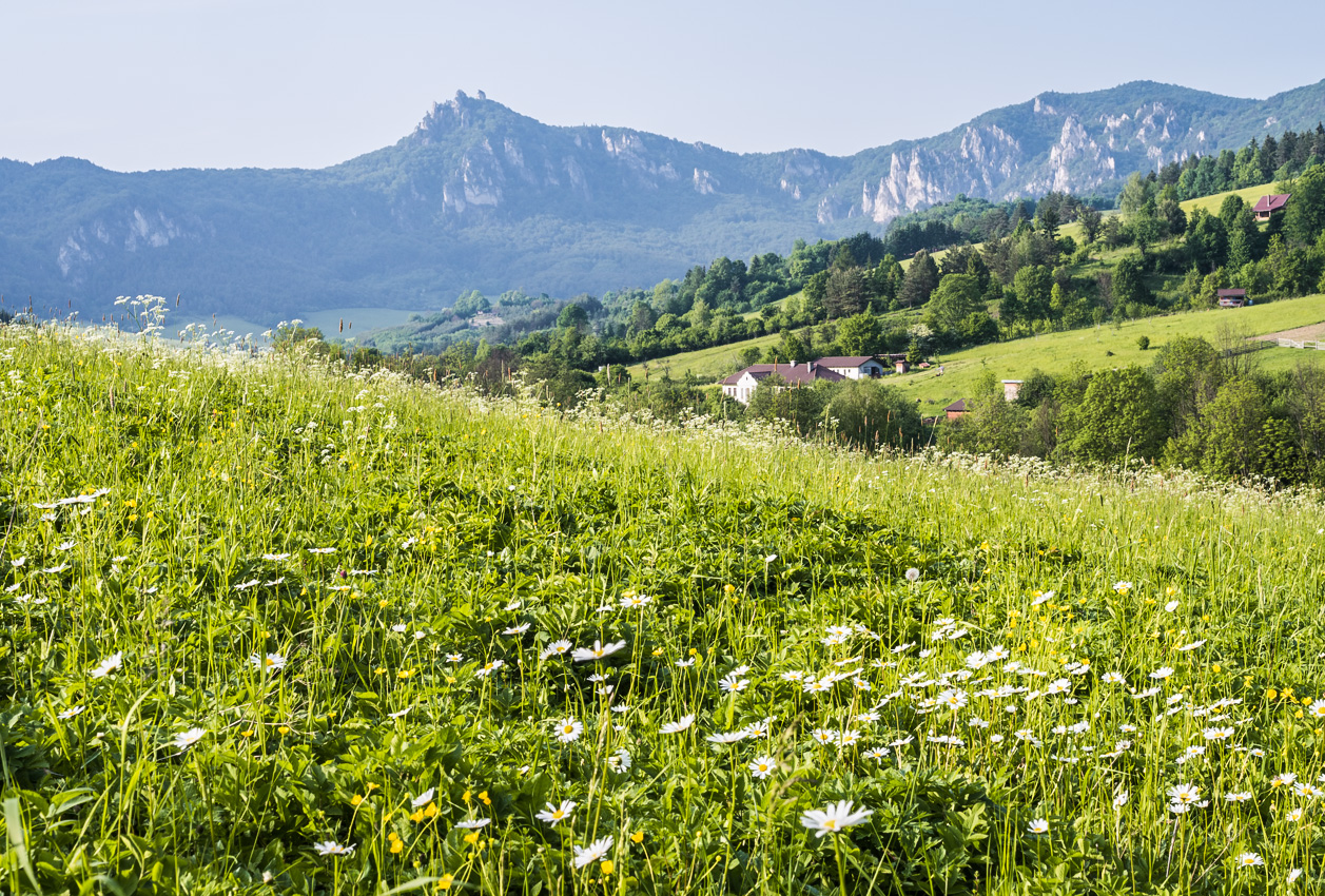 Kliknij obrazek, aby uzyskać większą wersję

Nazwa:	Sulov1Olek-8.JPG
Wyświetleń:	199
Rozmiar:	836,9 KB
ID:	175836