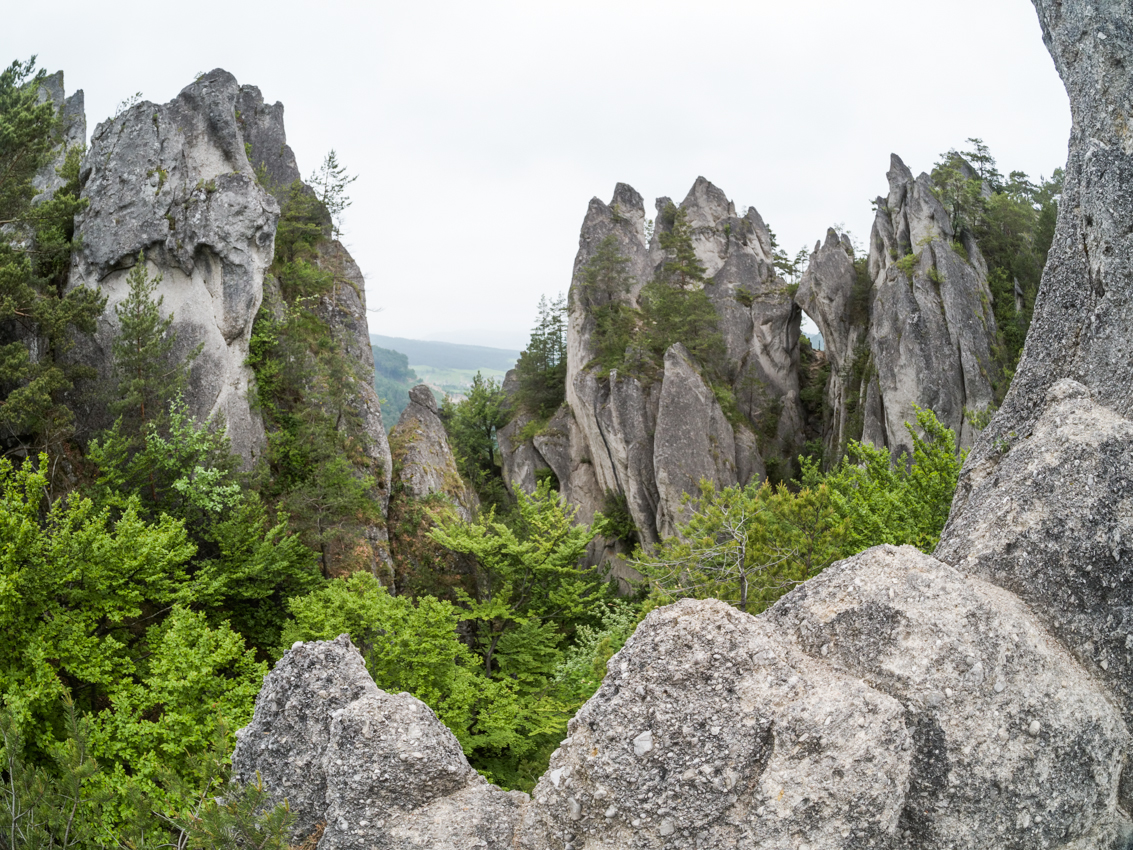 Kliknij obrazek, aby uzyskać większą wersję

Nazwa:	Sulov2Olek-1.JPG
Wyświetleń:	164
Rozmiar:	1.000,8 KB
ID:	175874