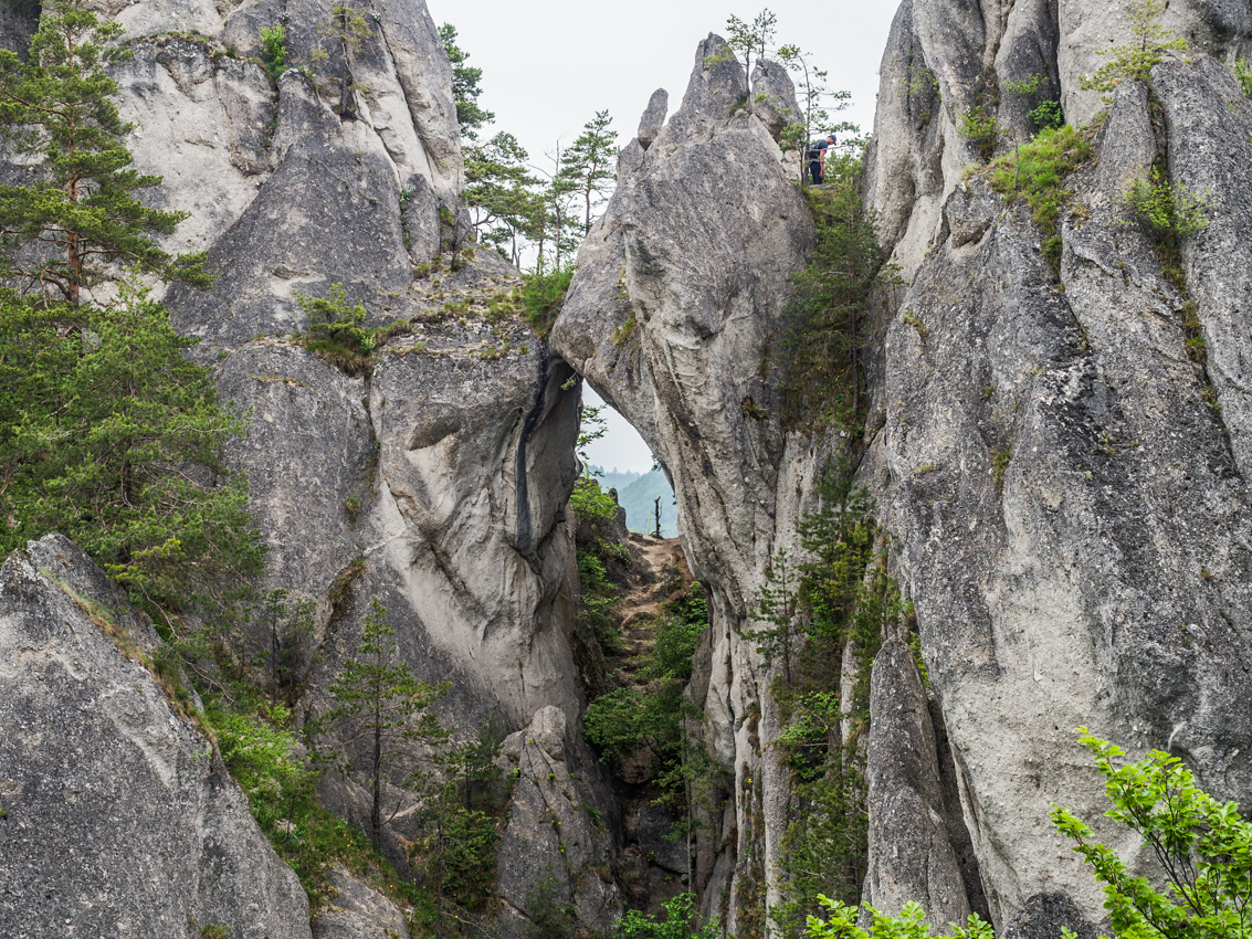 Kliknij obrazek, aby uzyskać większą wersję

Nazwa:	Sulov2Olek-2.JPG
Wyświetleń:	173
Rozmiar:	933,3 KB
ID:	175875