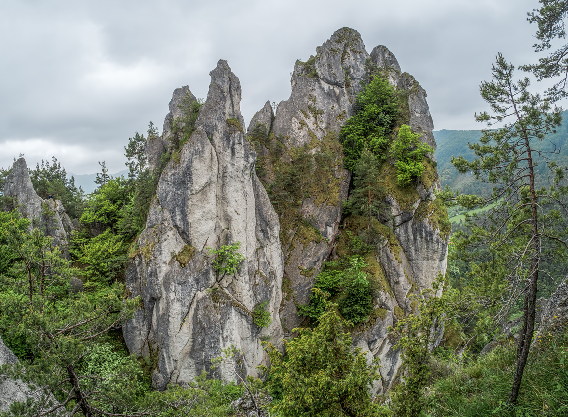 Kliknij obrazek, aby uzyskać większą wersję

Nazwa:	Sulov2Olek-3.JPG
Wyświetleń:	159
Rozmiar:	809,2 KB
ID:	175876