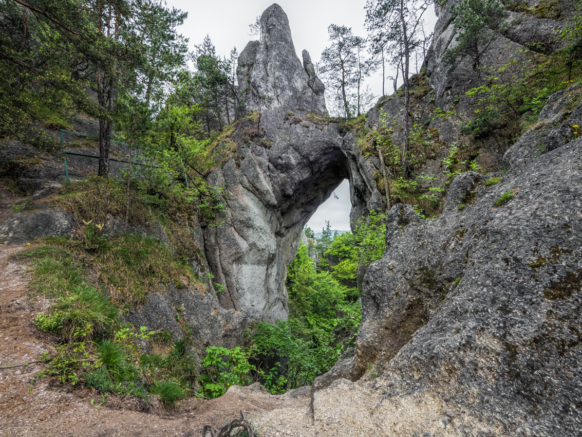 Kliknij obrazek, aby uzyskać większą wersję

Nazwa:	Sulov2Olek-5.JPG
Wyświetleń:	166
Rozmiar:	926,1 KB
ID:	175878