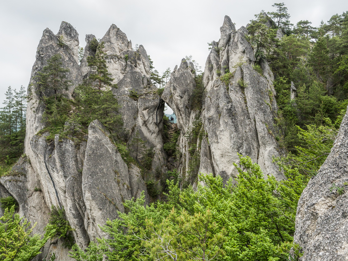 Kliknij obrazek, aby uzyskać większą wersję

Nazwa:	Sulov2Olek-6.JPG
Wyświetleń:	171
Rozmiar:	884,5 KB
ID:	175879