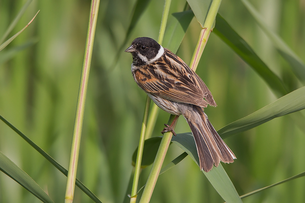 Kliknij obrazek, aby uzyskać większą wersję

Nazwa:	N72A0406.jpg
Wyświetleń:	166
Rozmiar:	409,9 KB
ID:	175896