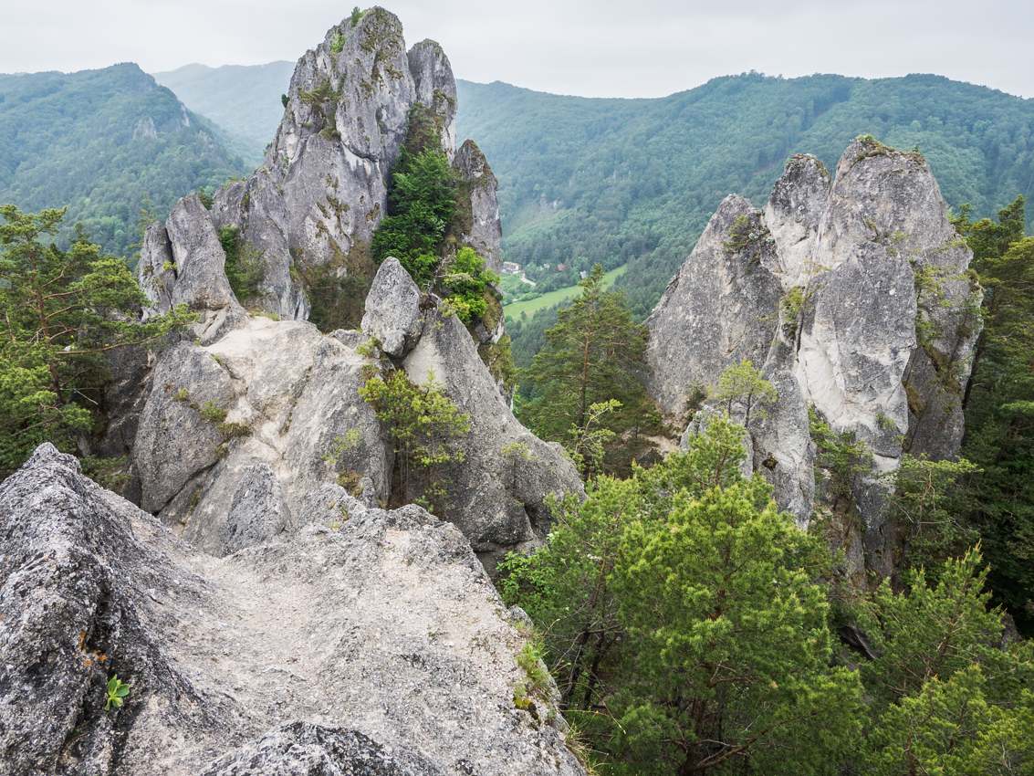 Kliknij obrazek, aby uzyskać większą wersję

Nazwa:	Sulov3Olek-4.JPG
Wyświetleń:	144
Rozmiar:	865,7 KB
ID:	175999