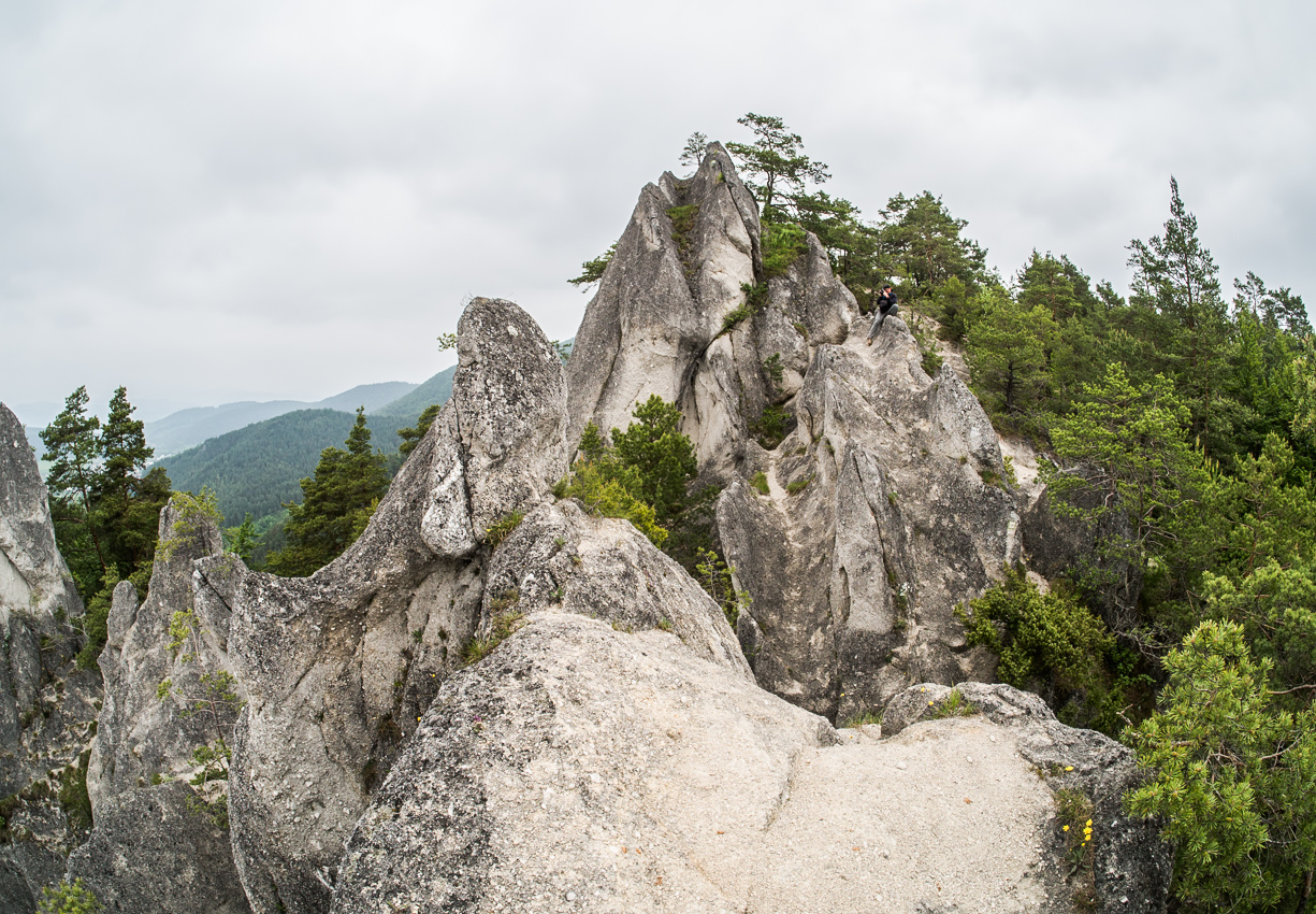 Kliknij obrazek, aby uzyskać większą wersję

Nazwa:	Sulov3Olek-3.JPG
Wyświetleń:	130
Rozmiar:	811,1 KB
ID:	176000