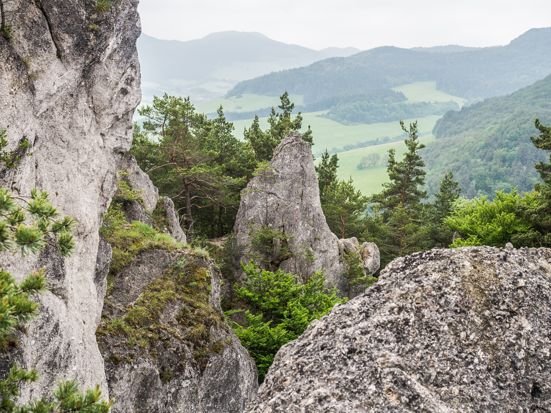 Kliknij obrazek, aby uzyskać większą wersję

Nazwa:	Sulov3Olek-1.JPG
Wyświetleń:	131
Rozmiar:	843,2 KB
ID:	176002