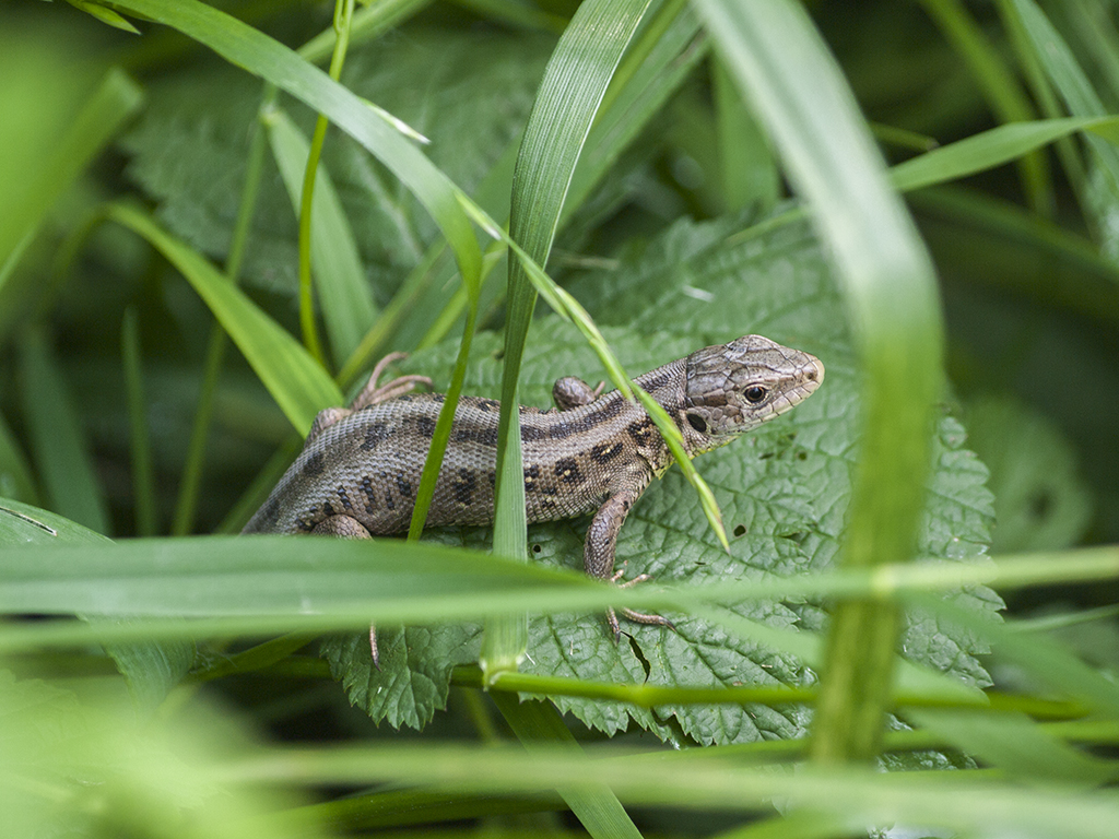 Kliknij obrazek, aby uzyskać większą wersję

Nazwa:	p1430972.jpg
Wyświetleń:	123
Rozmiar:	633,1 KB
ID:	176046