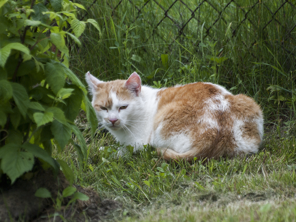 Kliknij obrazek, aby uzyskać większą wersję

Nazwa:	p1440037.jpg
Wyświetleń:	207
Rozmiar:	826,0 KB
ID:	176053