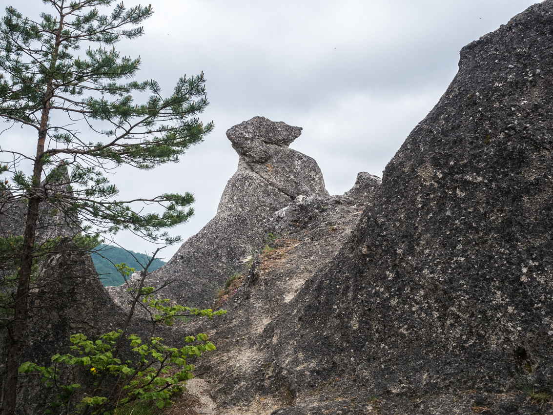 Kliknij obrazek, aby uzyskać większą wersję

Nazwa:	Sulov4Olek-2.JPG
Wyświetleń:	455
Rozmiar:	1.019,6 KB
ID:	176073