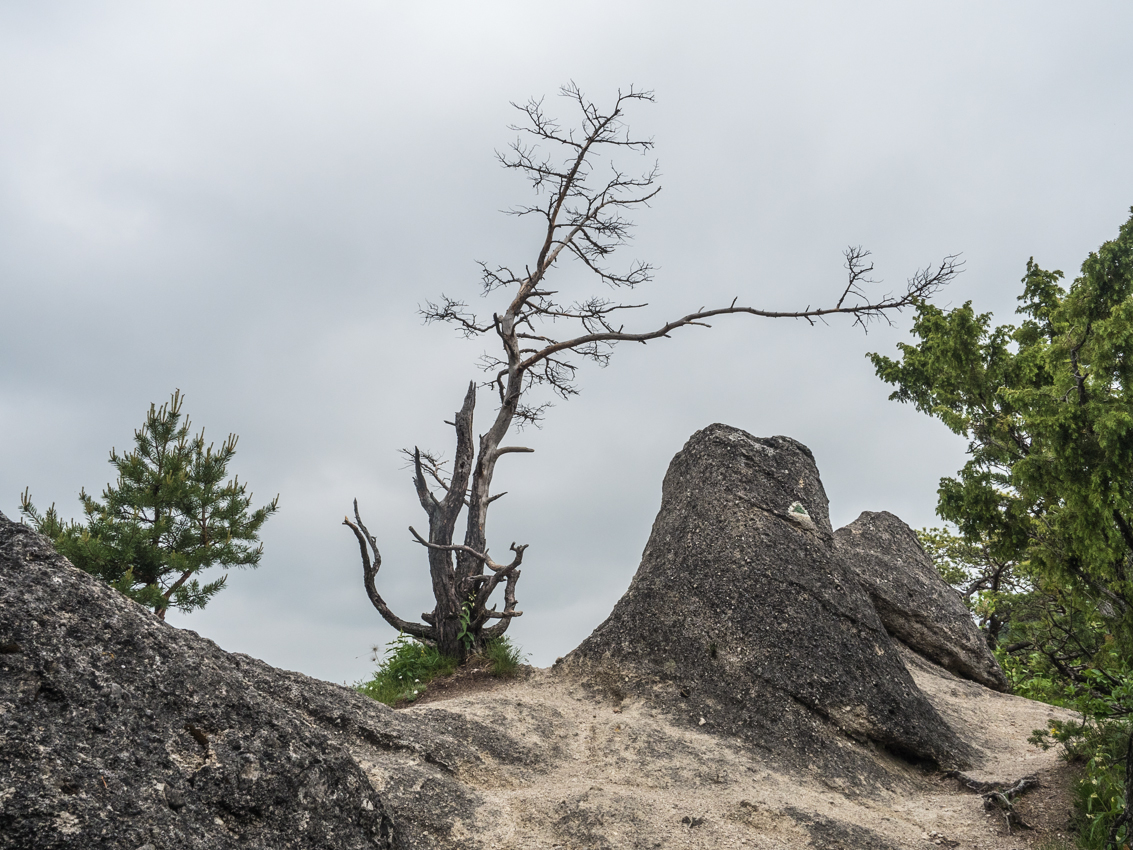 Kliknij obrazek, aby uzyskać większą wersję

Nazwa:	Sulov4Olek-3.JPG
Wyświetleń:	432
Rozmiar:	743,0 KB
ID:	176074