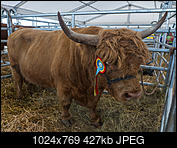 Kliknij obrazek, aby uzyskać większą wersję

Nazwa:	Bbuchaj-1180801.jpg
Wyświetleń:	43
Rozmiar:	427,4 KB
ID:	176563