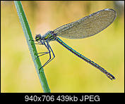 Kliknij obrazek, aby uzyskać większą wersję

Nazwa:	P6190048 miniaturka.jpg
Wyświetleń:	45
Rozmiar:	439,0 KB
ID:	176712