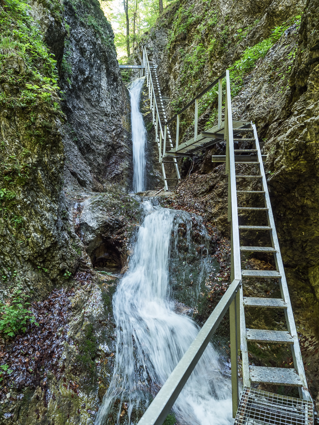 Nazwa:  Rozsutce2Olek-5.JPG
Wyświetleń: 278
Rozmiar:  789,3 KB