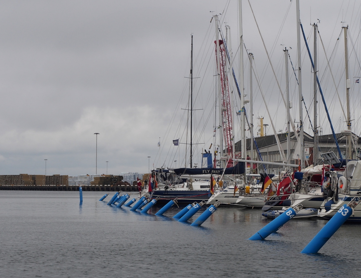 Nazwa:  P6210123..E.jpg
Wyświetleń: 151
Rozmiar:  612,3 KB