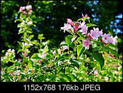 Kliknij obrazek, aby uzyskać większą wersję

Nazwa:	DSCF6166.jpg
Wyświetleń:	36
Rozmiar:	176,2 KB
ID:	177269