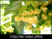 Kliknij obrazek, aby uzyskać większą wersję

Nazwa:	DSCF6473.jpg
Wyświetleń:	38
Rozmiar:	99,6 KB
ID:	177273