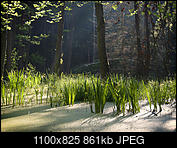 Kliknij obrazek, aby uzyskać większą wersję

Nazwa:	P1070289.jpg
Wyświetleń:	74
Rozmiar:	860,7 KB
ID:	177419