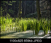 Kliknij obrazek, aby uzyskać większą wersję

Nazwa:	P1070286.jpg
Wyświetleń:	77
Rozmiar:	859,0 KB
ID:	177420