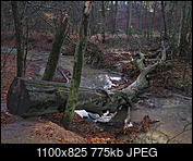 Kliknij obrazek, aby uzyskać większą wersję

Nazwa:	P1040706.jpg
Wyświetleń:	74
Rozmiar:	774,9 KB
ID:	177427