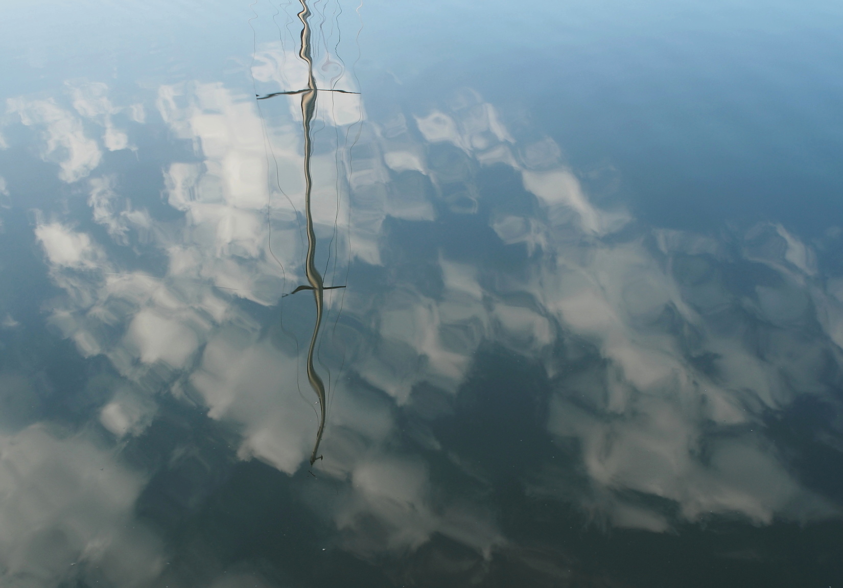 Nazwa:  P6250309...E.jpg
Wyświetleń: 115
Rozmiar:  452,4 KB