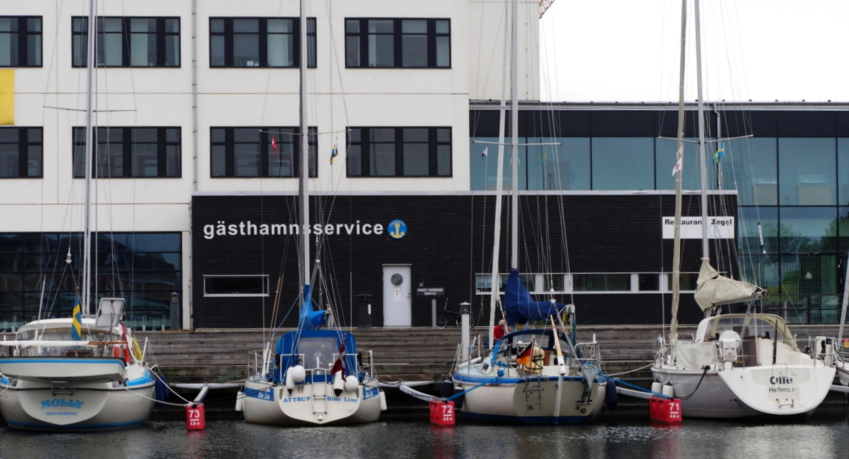 Nazwa:  P6210124...B.jpg
Wyświetleń: 181
Rozmiar:  521,4 KB