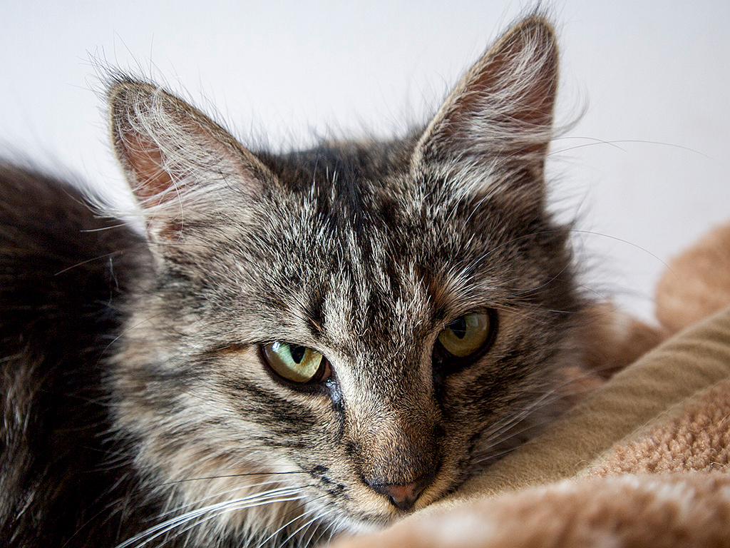 Kliknij obrazek, aby uzyskać większą wersję

Nazwa:	p1460082.jpg
Wyświetleń:	147
Rozmiar:	725,6 KB
ID:	177998