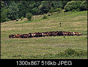 Kliknij obrazek, aby uzyskać większą wersję

Nazwa:	P7100732bp.jpg
Wyświetleń:	46
Rozmiar:	516,5 KB
ID:	178288
