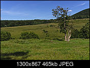 Kliknij obrazek, aby uzyskać większą wersję

Nazwa:	P7100735bp.jpg
Wyświetleń:	48
Rozmiar:	464,7 KB
ID:	178290
