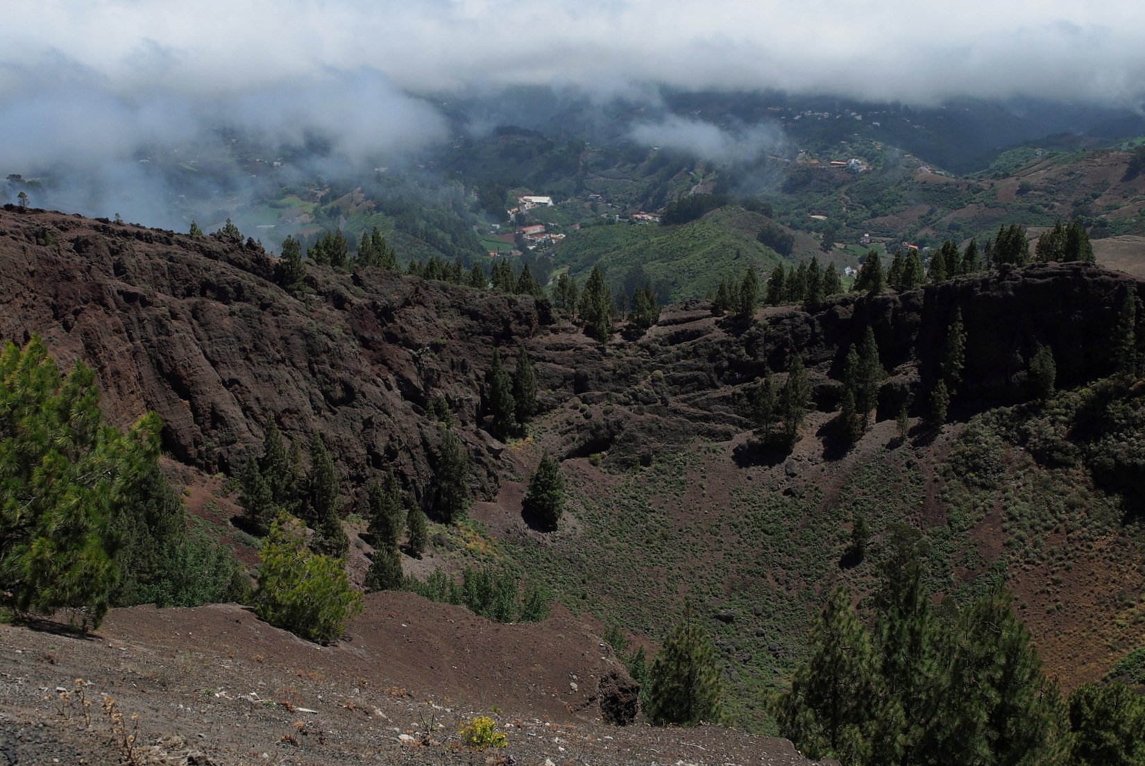 Nazwa:  P7050001...B.jpg
Wyświetleń: 112
Rozmiar:  1,01 MB