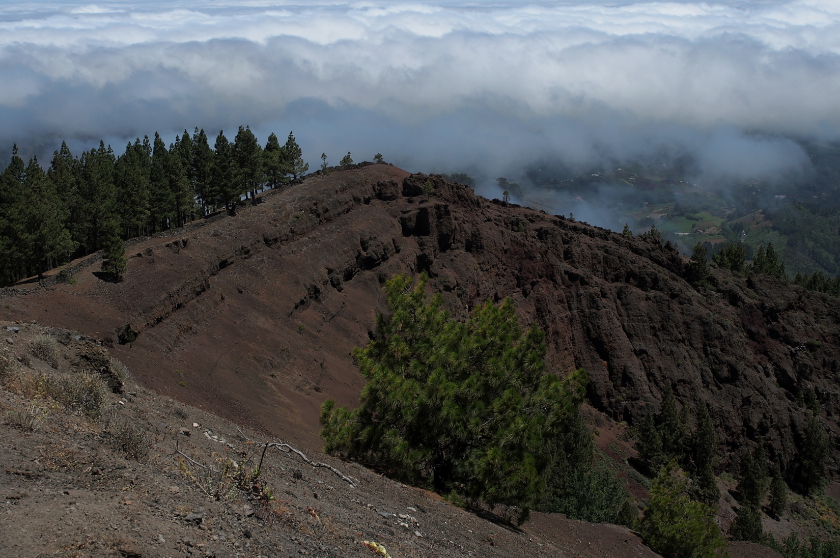 Nazwa:  P7080055...B.jpg
Wyświetleń: 109
Rozmiar:  925,7 KB