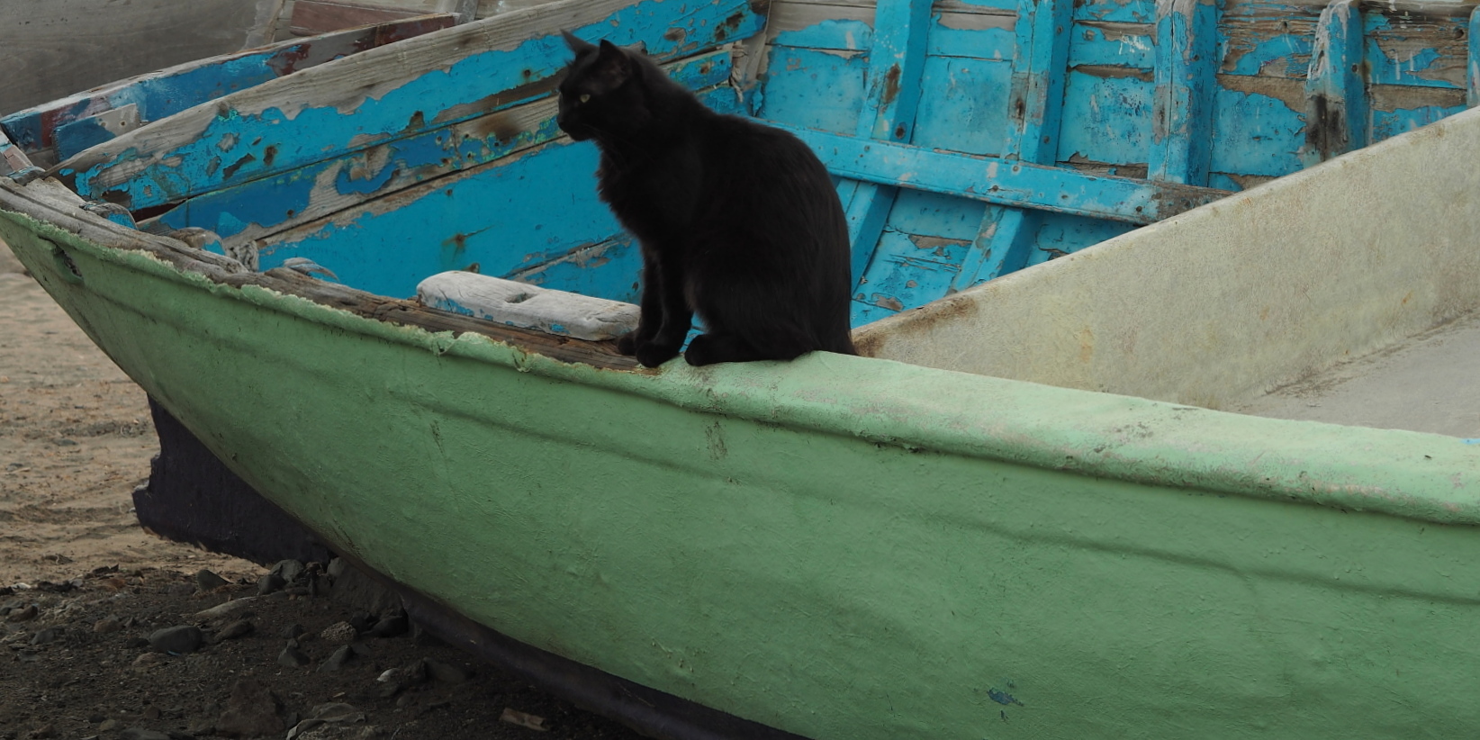 Nazwa:  P7130492...B.jpg
Wyświetleń: 96
Rozmiar:  565,1 KB