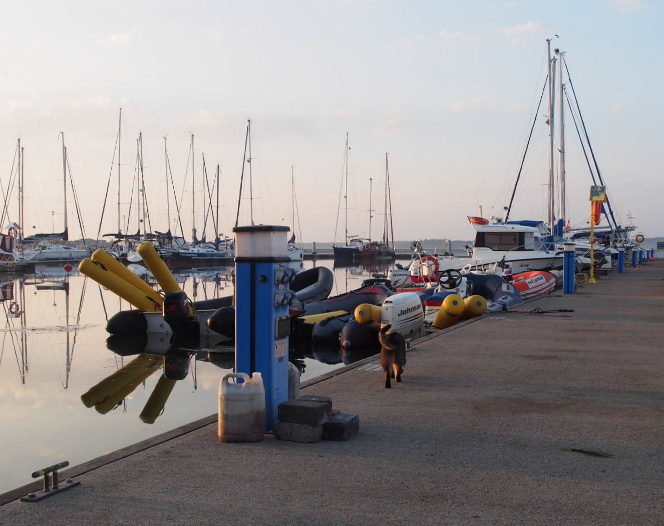 Nazwa:  P6250302...B.jpg
Wyświetleń: 178
Rozmiar:  502,2 KB